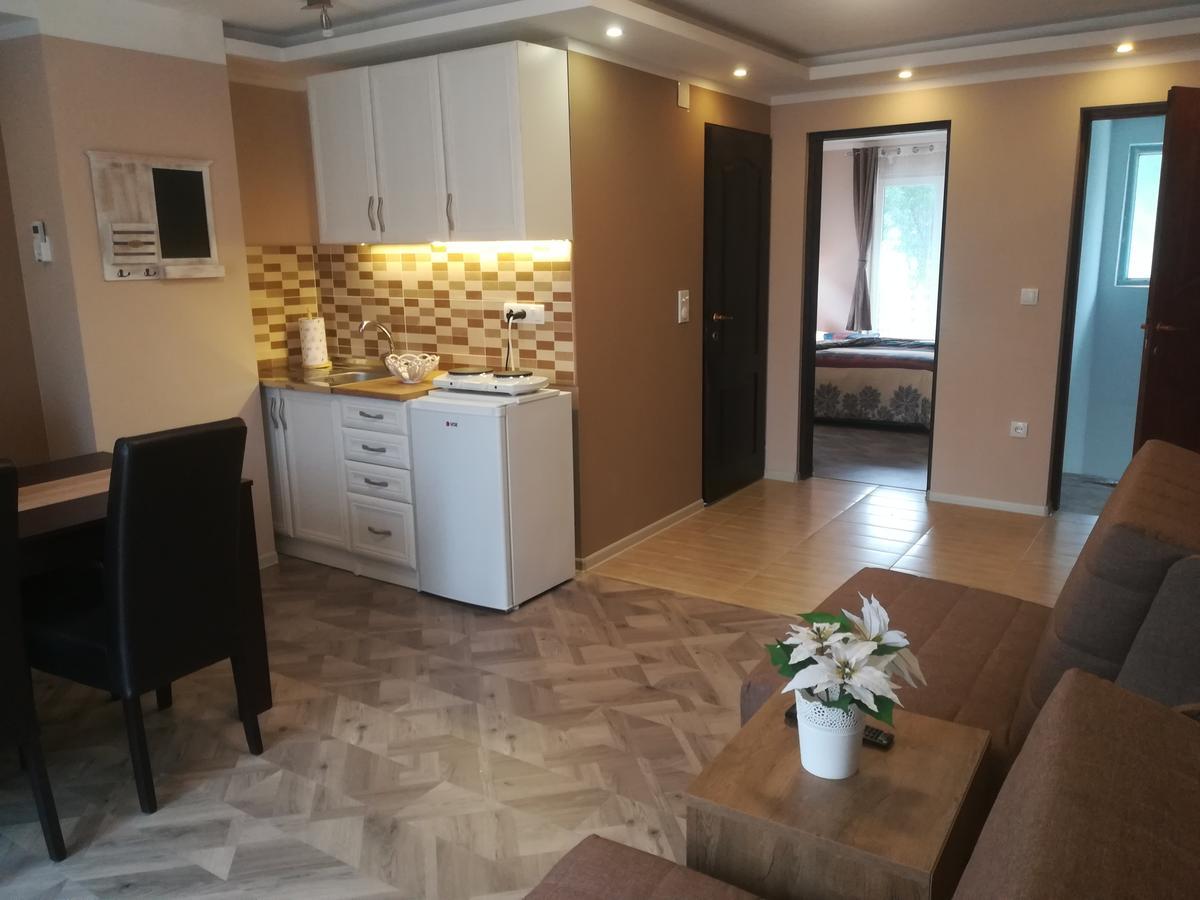 Apartman Bogic Golubac Dış mekan fotoğraf
