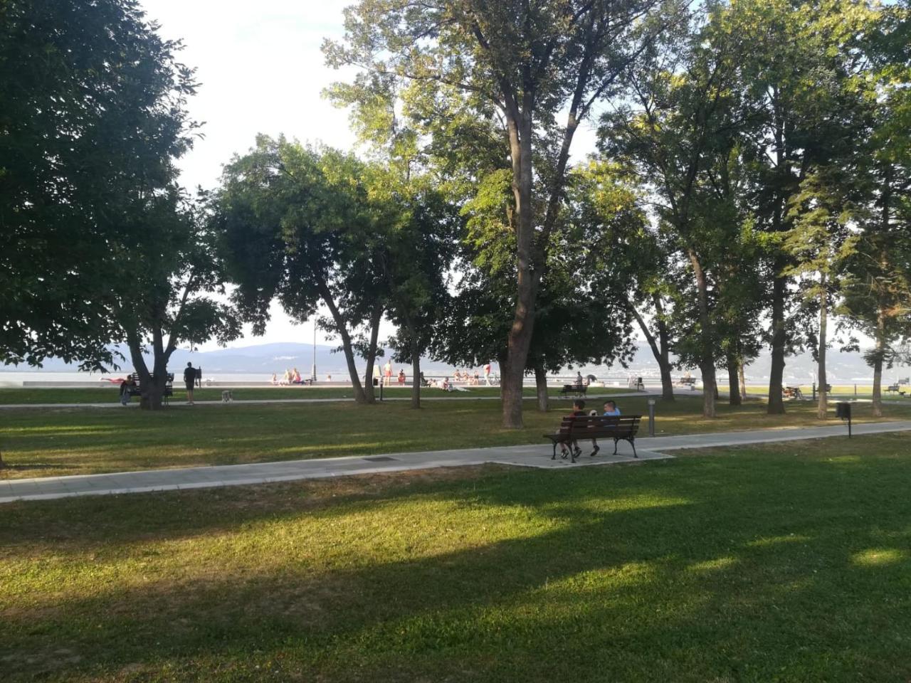 Apartman Bogic Golubac Dış mekan fotoğraf